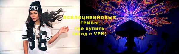спайс Богородицк