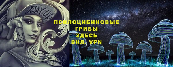 спайс Богородицк