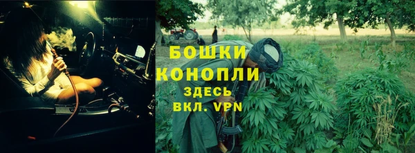 спайс Богородицк
