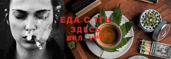 индика Карпинск