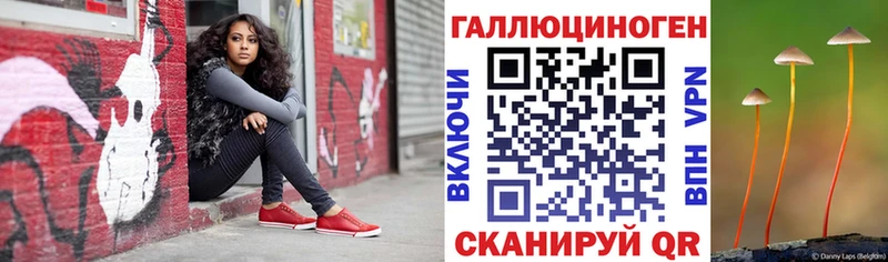 Псилоцибиновые грибы мухоморы  блэк спрут вход  Донской  продажа наркотиков 
